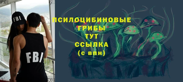 дурь Алексеевка
