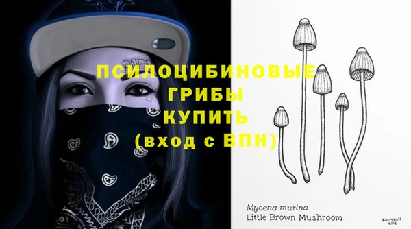 ГАЛЛЮЦИНОГЕННЫЕ ГРИБЫ Абинск