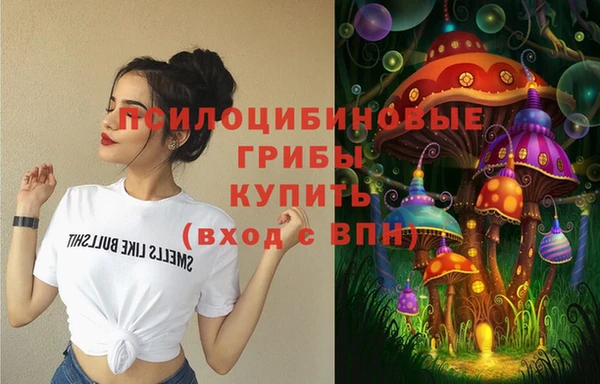 бутират Алзамай