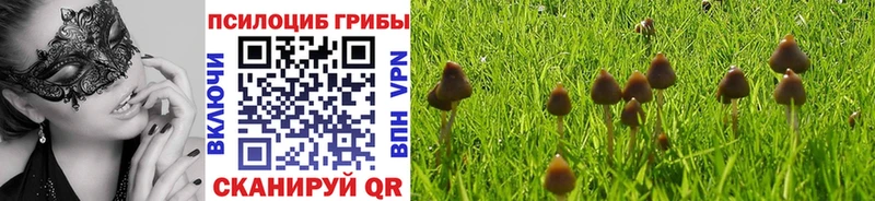 Псилоцибиновые грибы Psilocybine cubensis  цены наркотик  гидра tor  Новочеркасск 